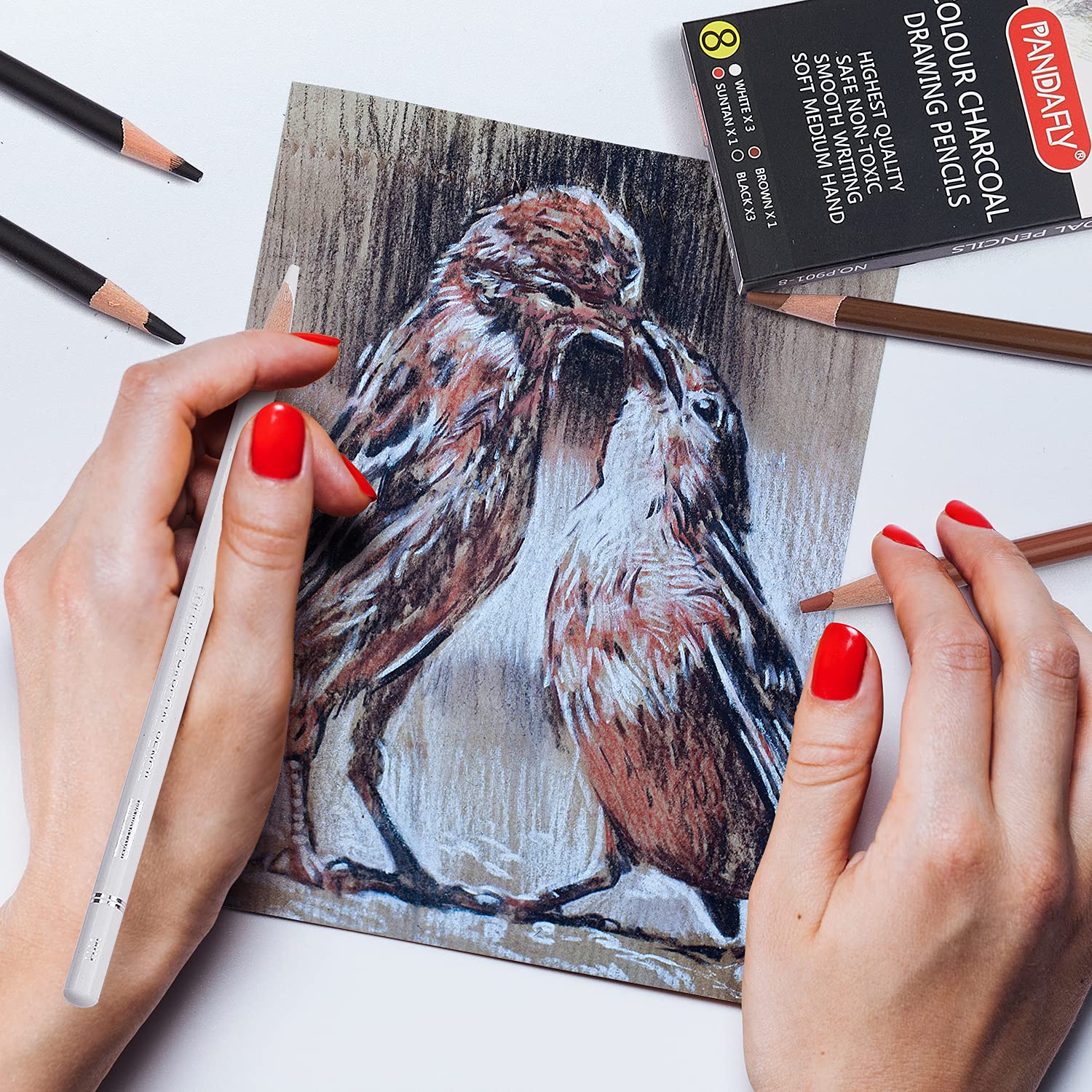 チャコール鉛筆画 Amazon | PANDAFLY(パンダフライ) チャコール鉛筆 描画セット